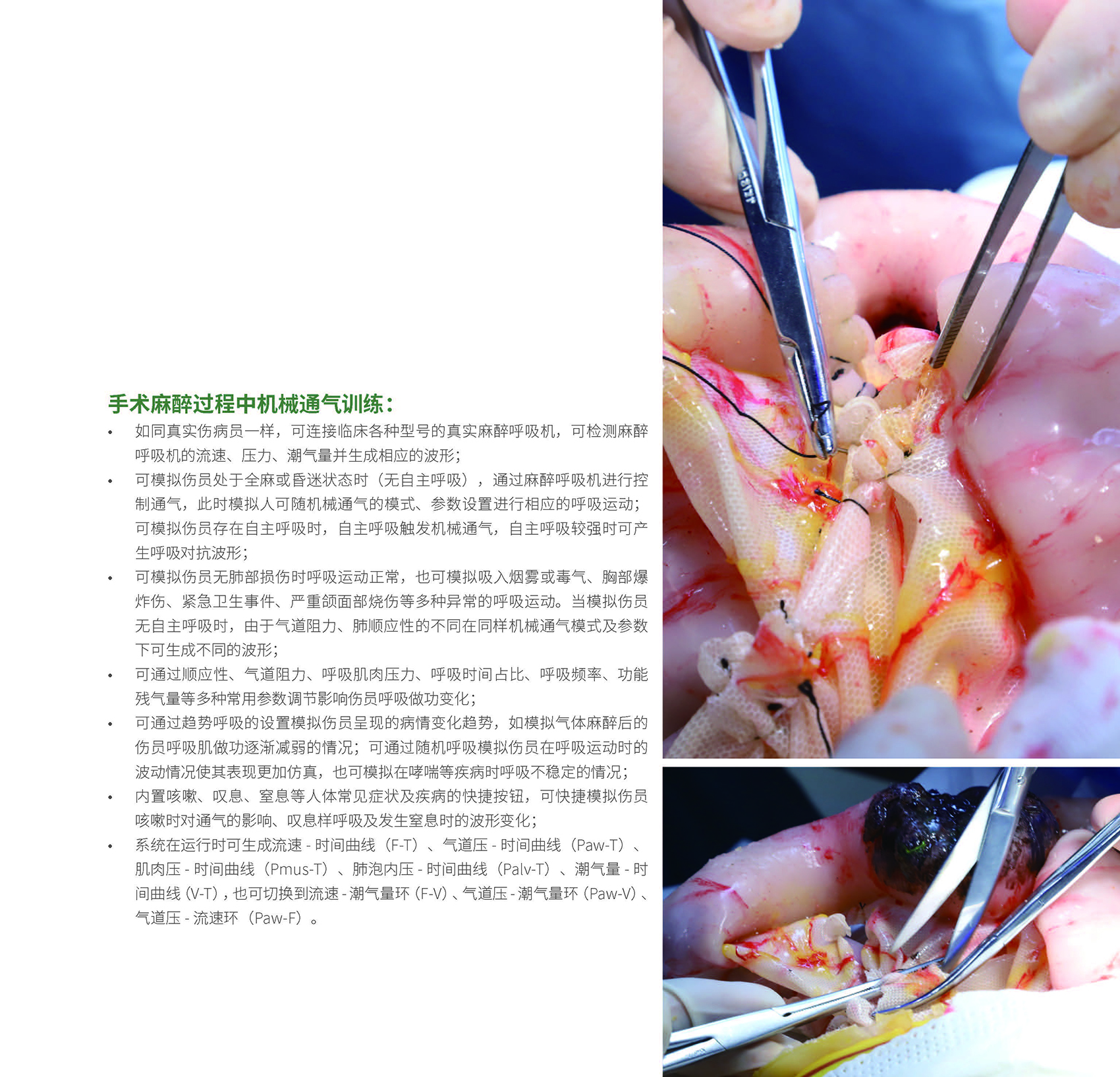 港澳免费资科大全